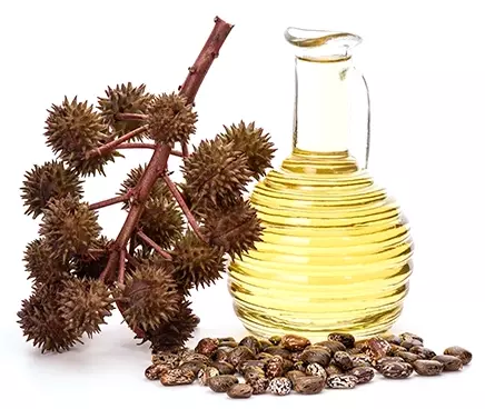 Castor Oil