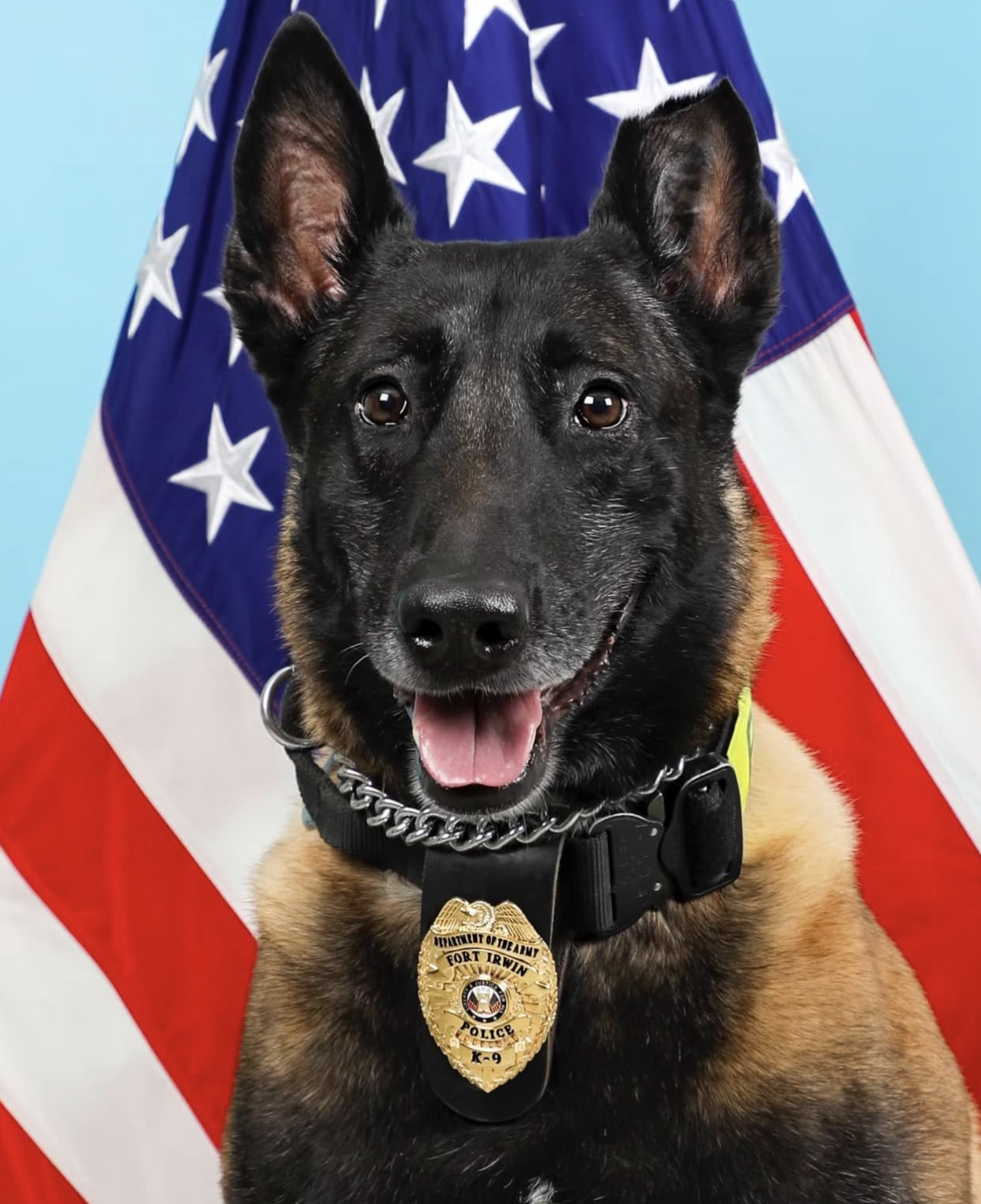 MWD Cash (Z390)