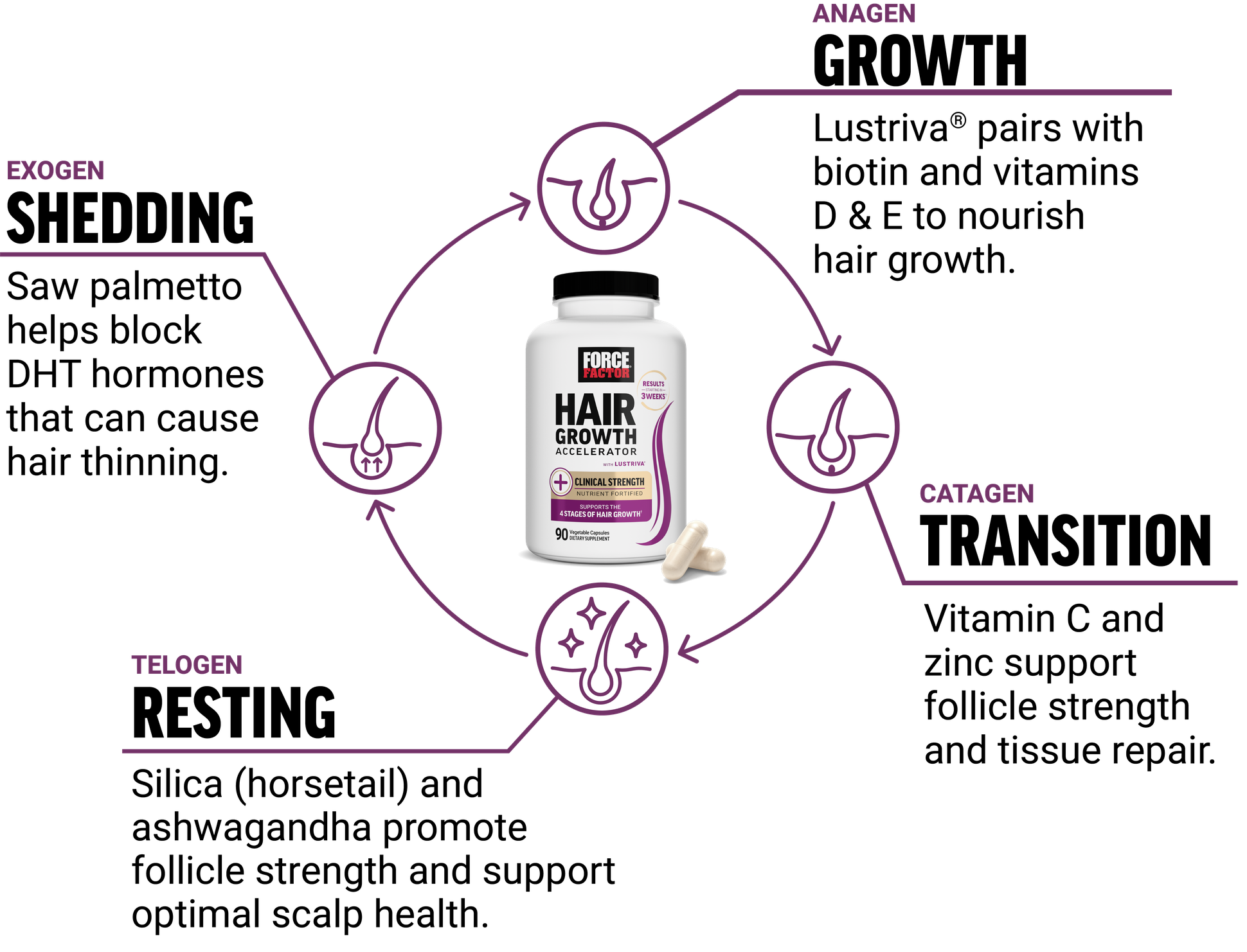 Hair Growth Accelerator
