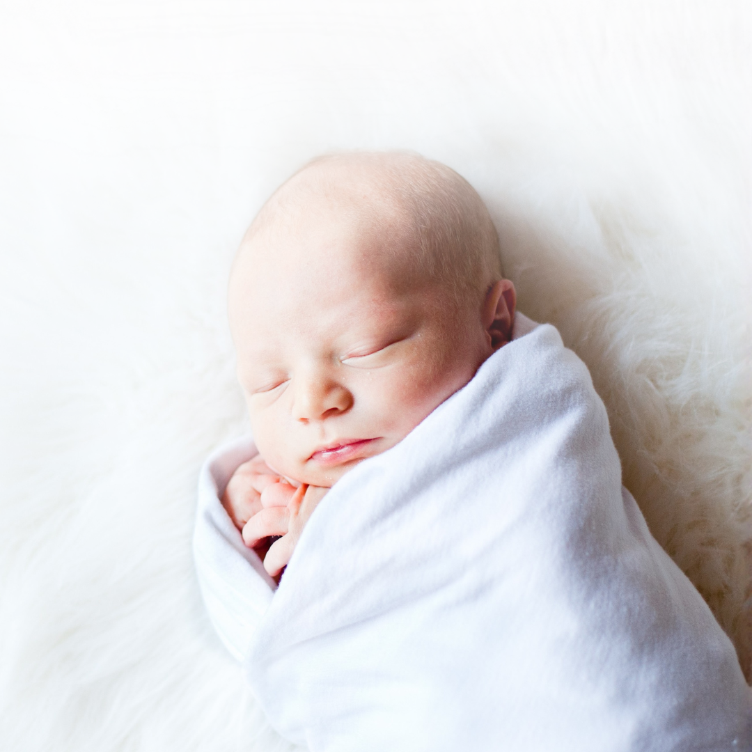 Newborn Sleep Program