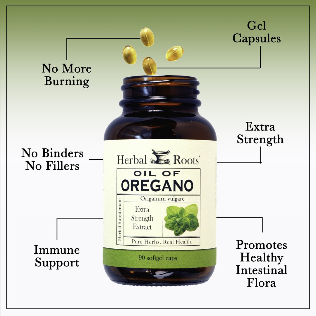 A bottle of Herbal Roots Oil of Oregano with 4 gel caps coming out of the top of the bottle. There are lines going from text to the bottle or capsules. The texts say No more burning, gel capsules, no binders no fillers, extra strength, Immune support and Promotes Healthy Intestinal Flora