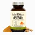 Bottle of Herbal Roots Organic Cordyceps with capsules and powder on a white background
