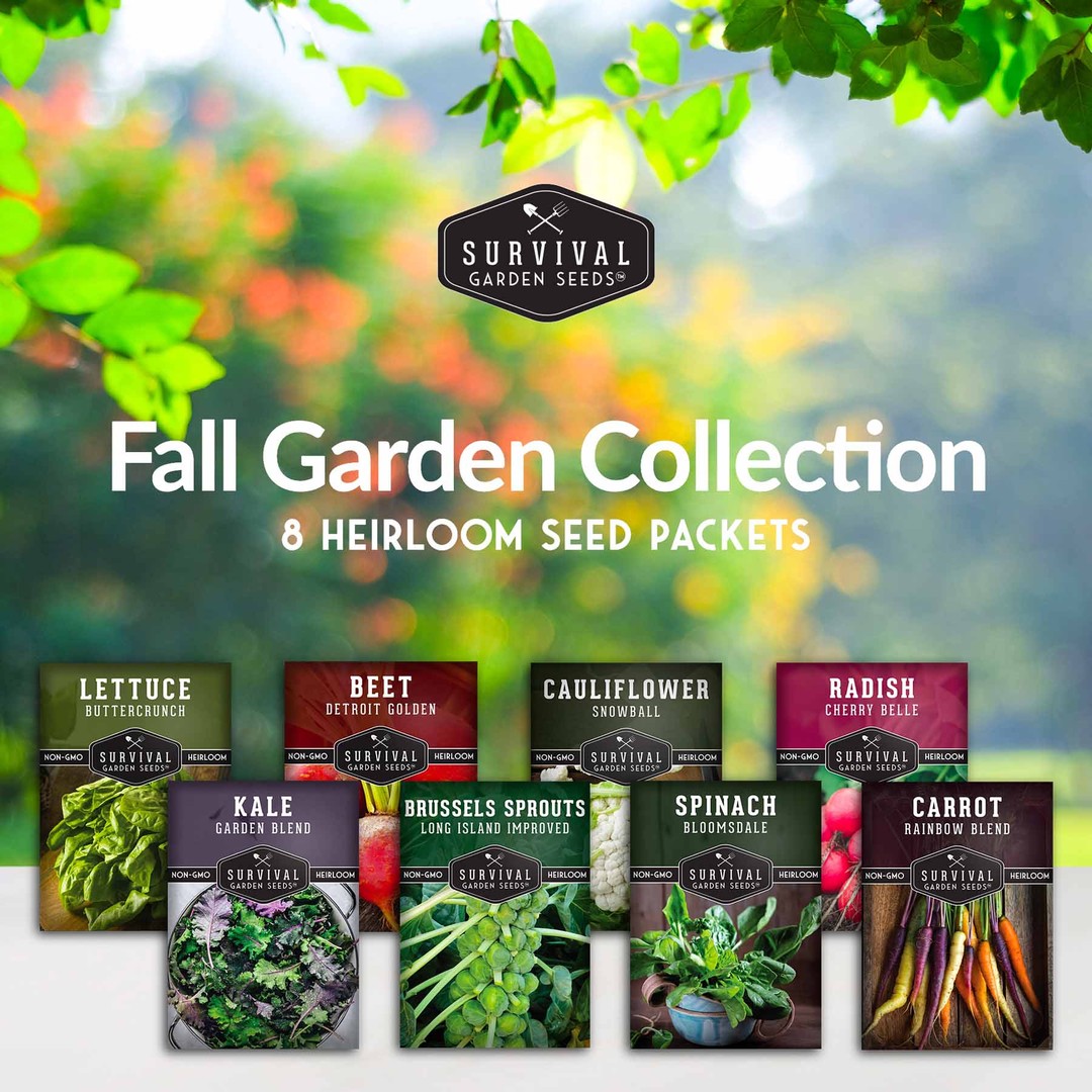 Fall Garden Collection - 8 heirloom seed packets