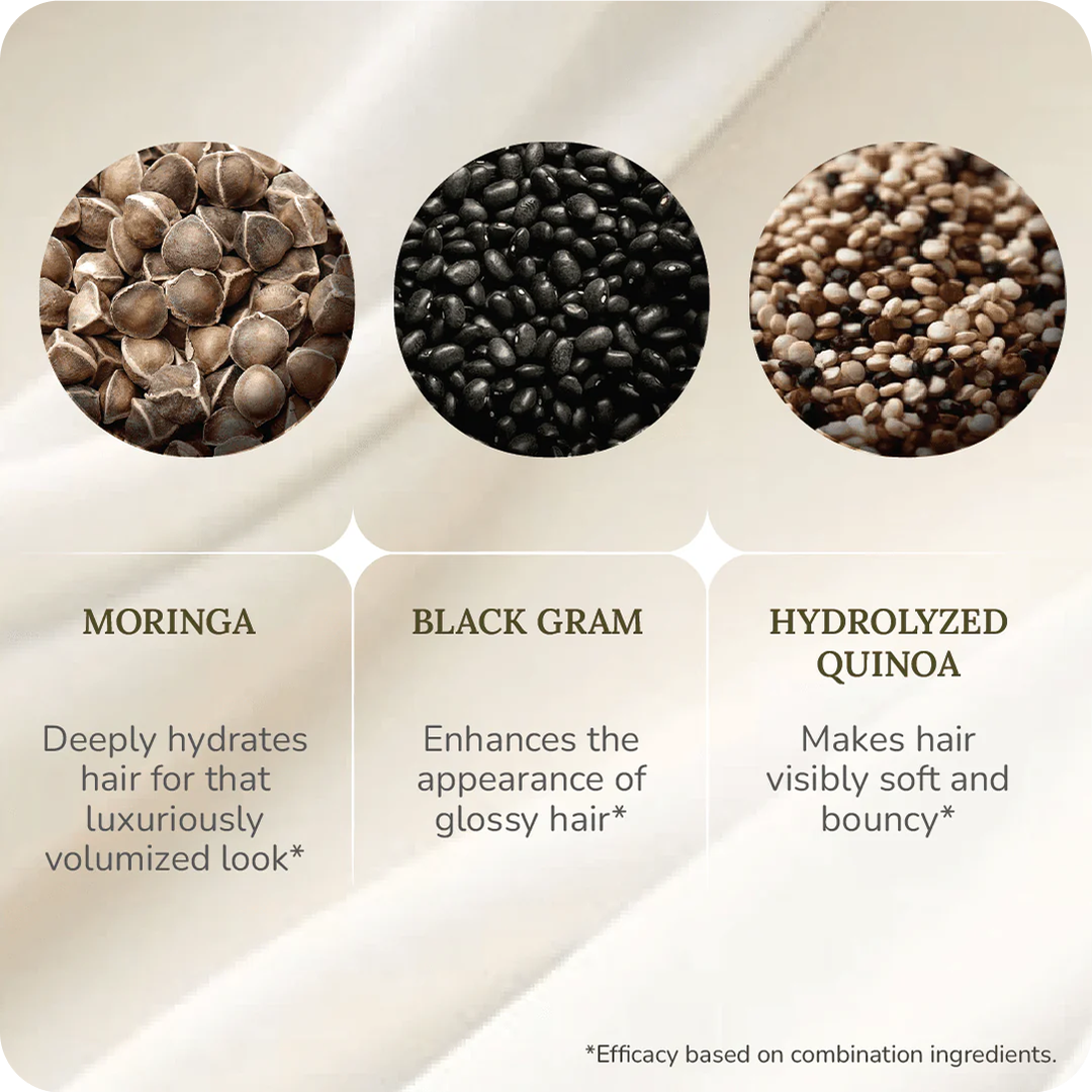 SOFT-O-MORE SHAMPOO - Ingredients - Moringa / Black gram / Hydrolyzed Quinoa