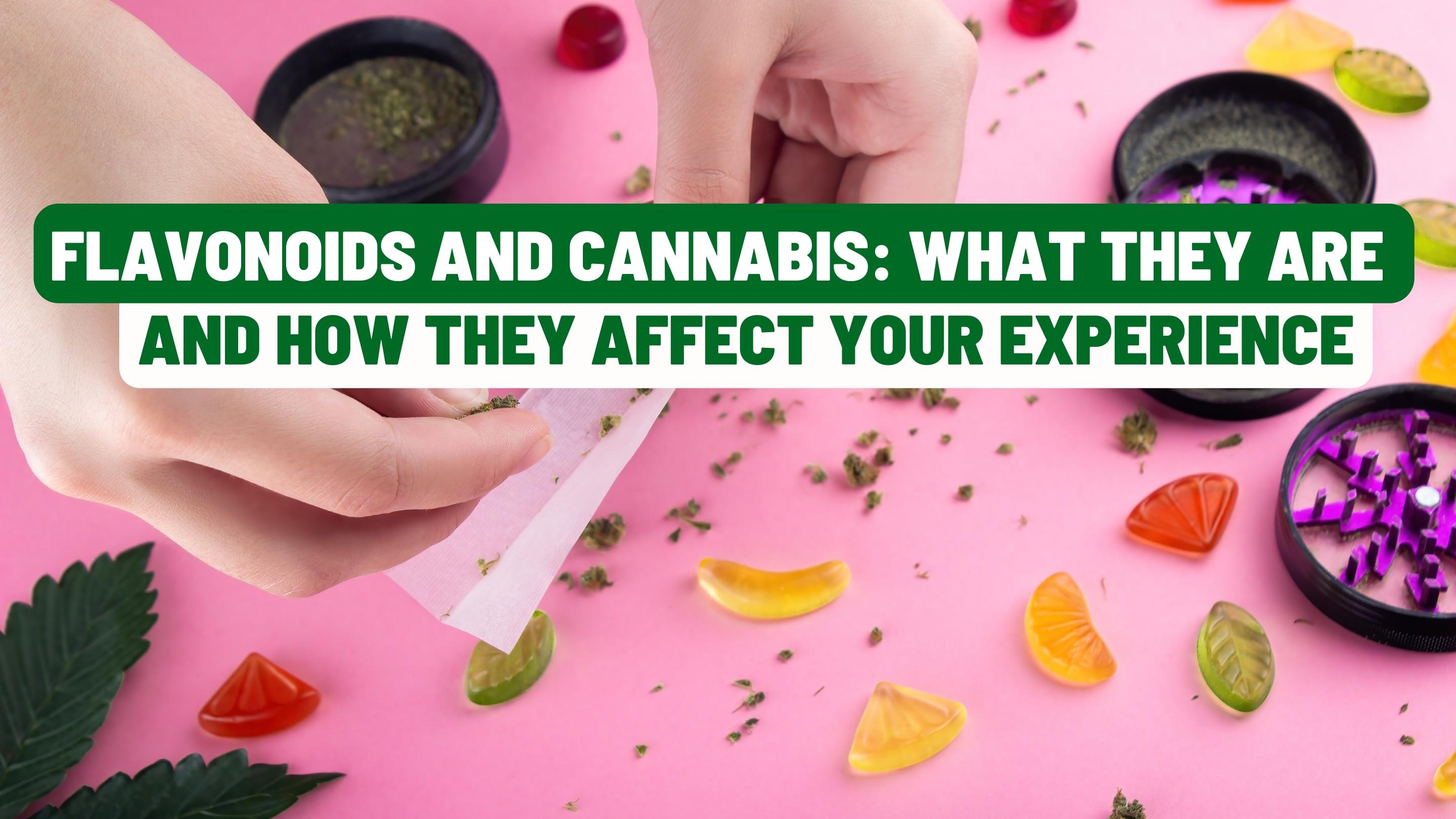 Flavonoids and Cannabis: What They Are and How They Affect Your Experience