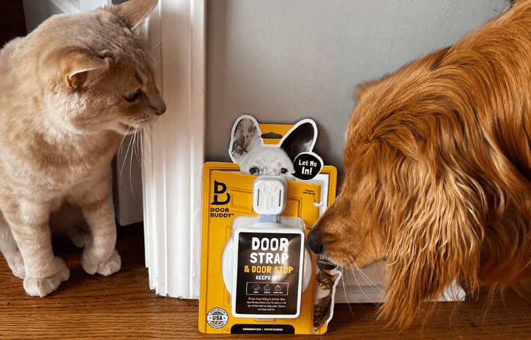 Door Buddy - The Door Buddy