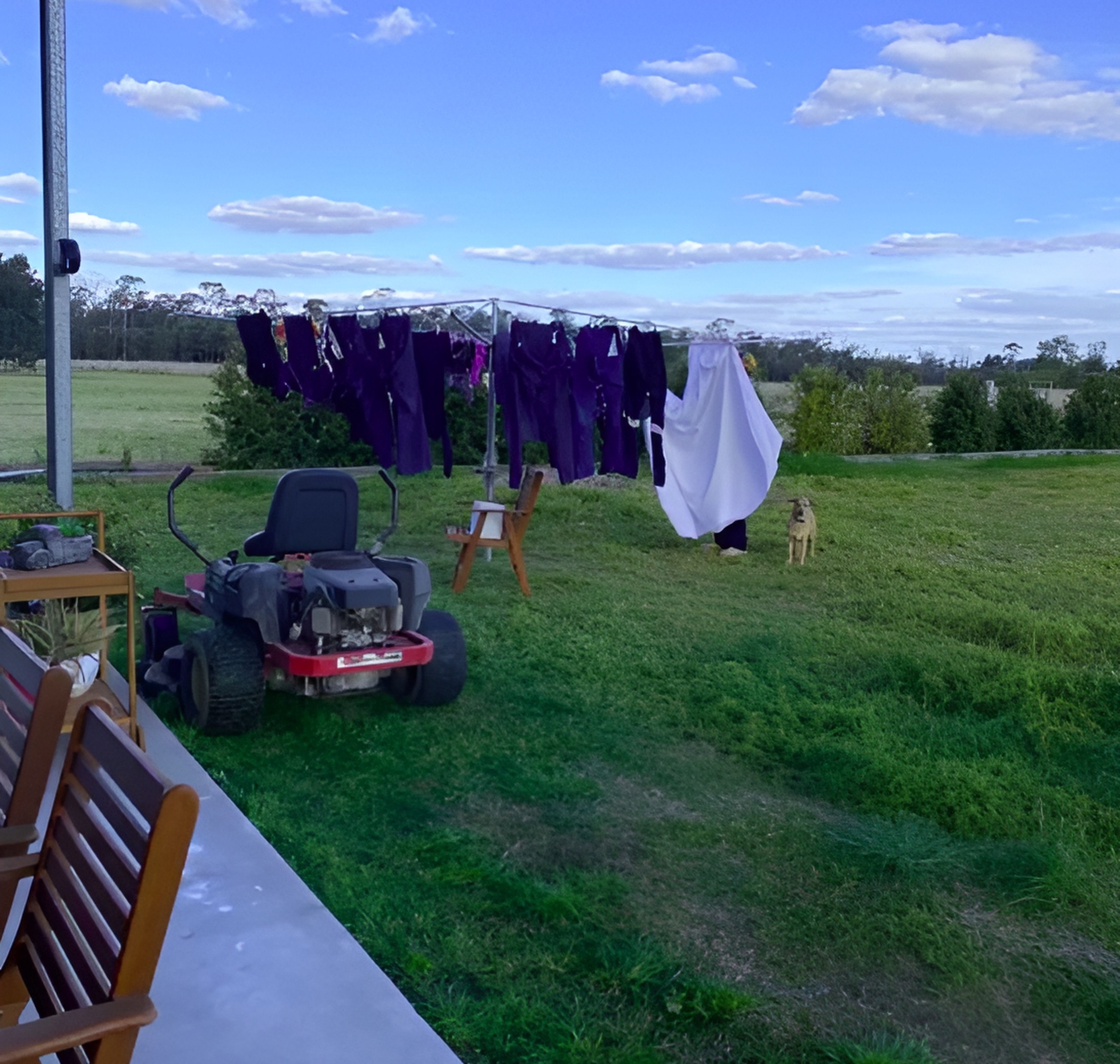 Rotary Clothesline for a Family of 5 9. Perfectly Suited for the Australian Backyard