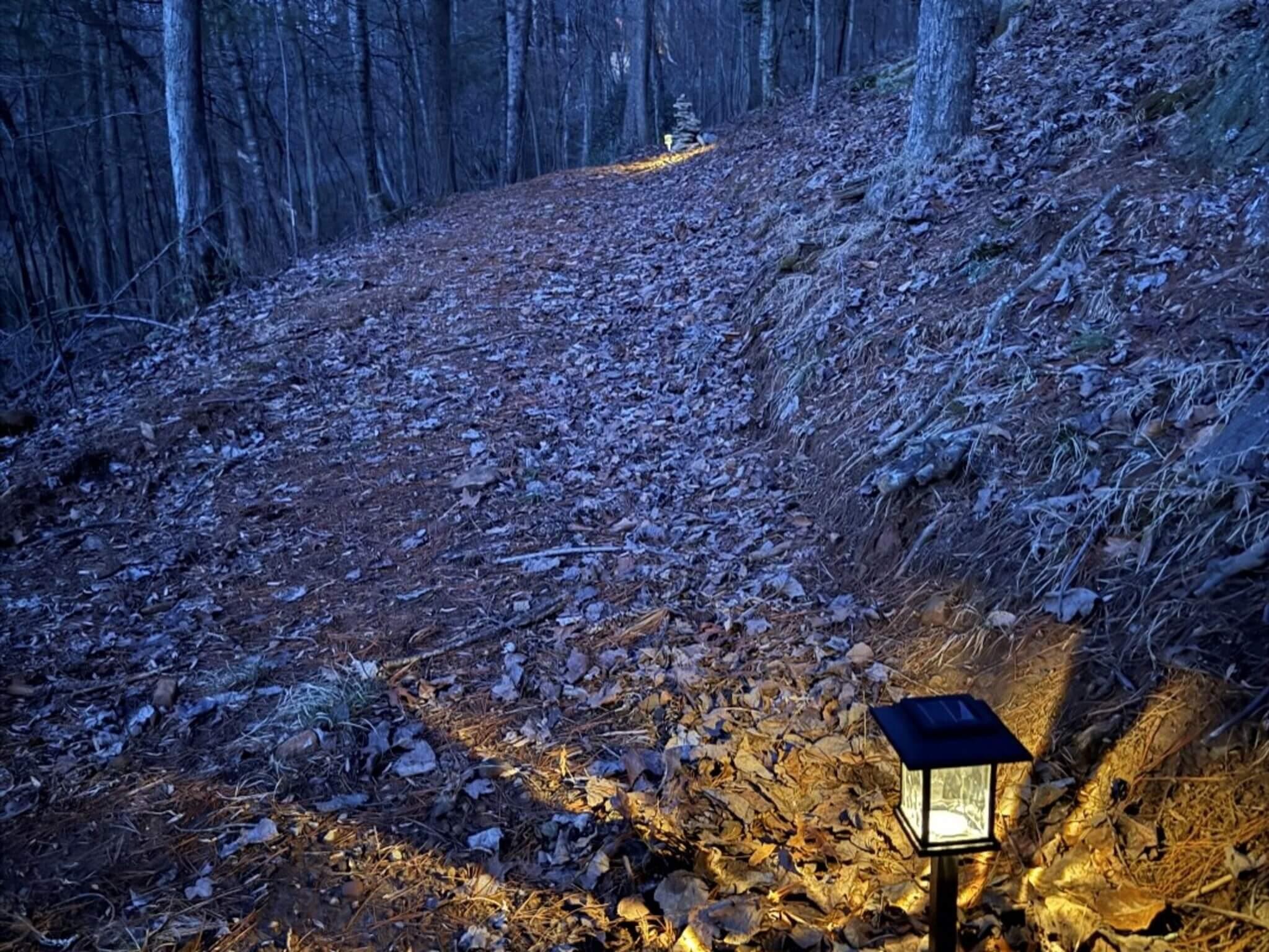 The short on-site walking trail from an old logging road that allows you to weave through the forest down to the nearby creek.