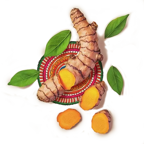 Raw turmeric and, it's leaves, kept on an artwork.