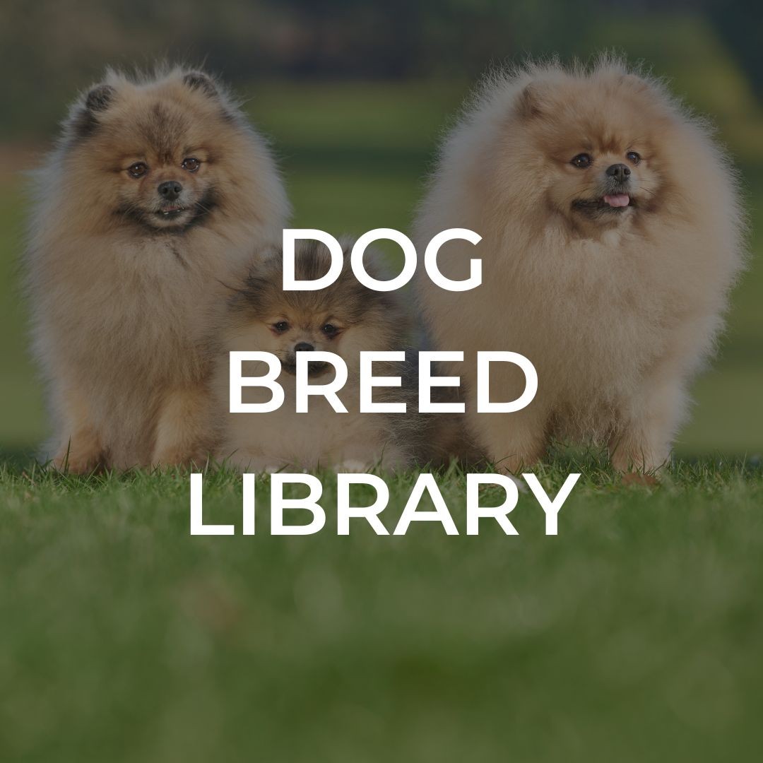Dog Breed Library