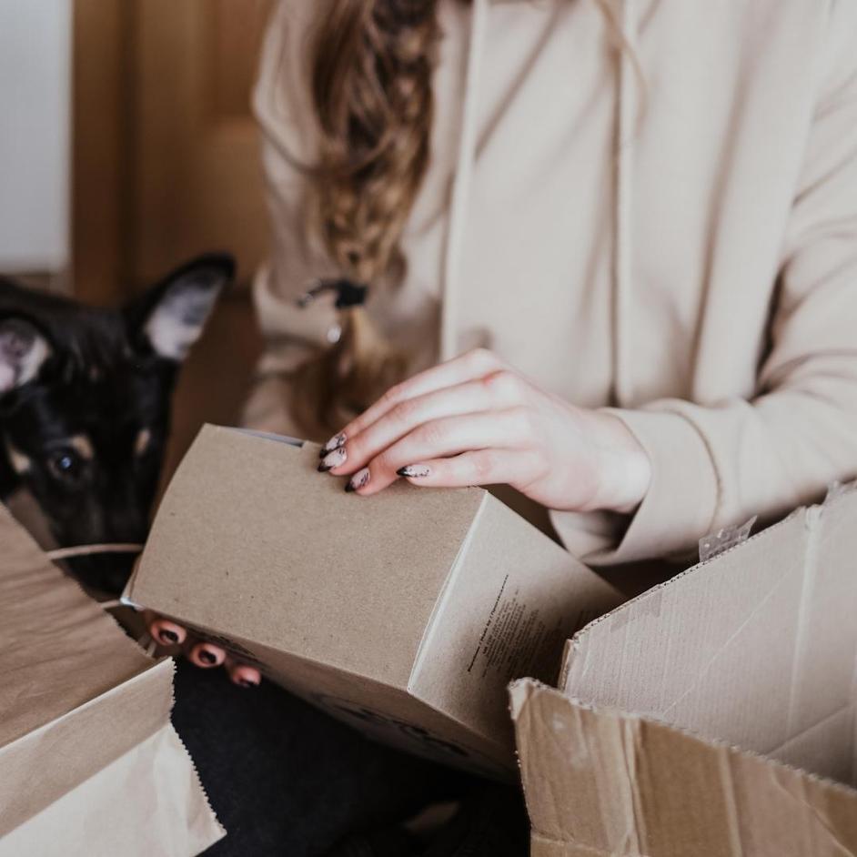 Enrichment Ideas for Dogs (Without Food) Potty Buddy™