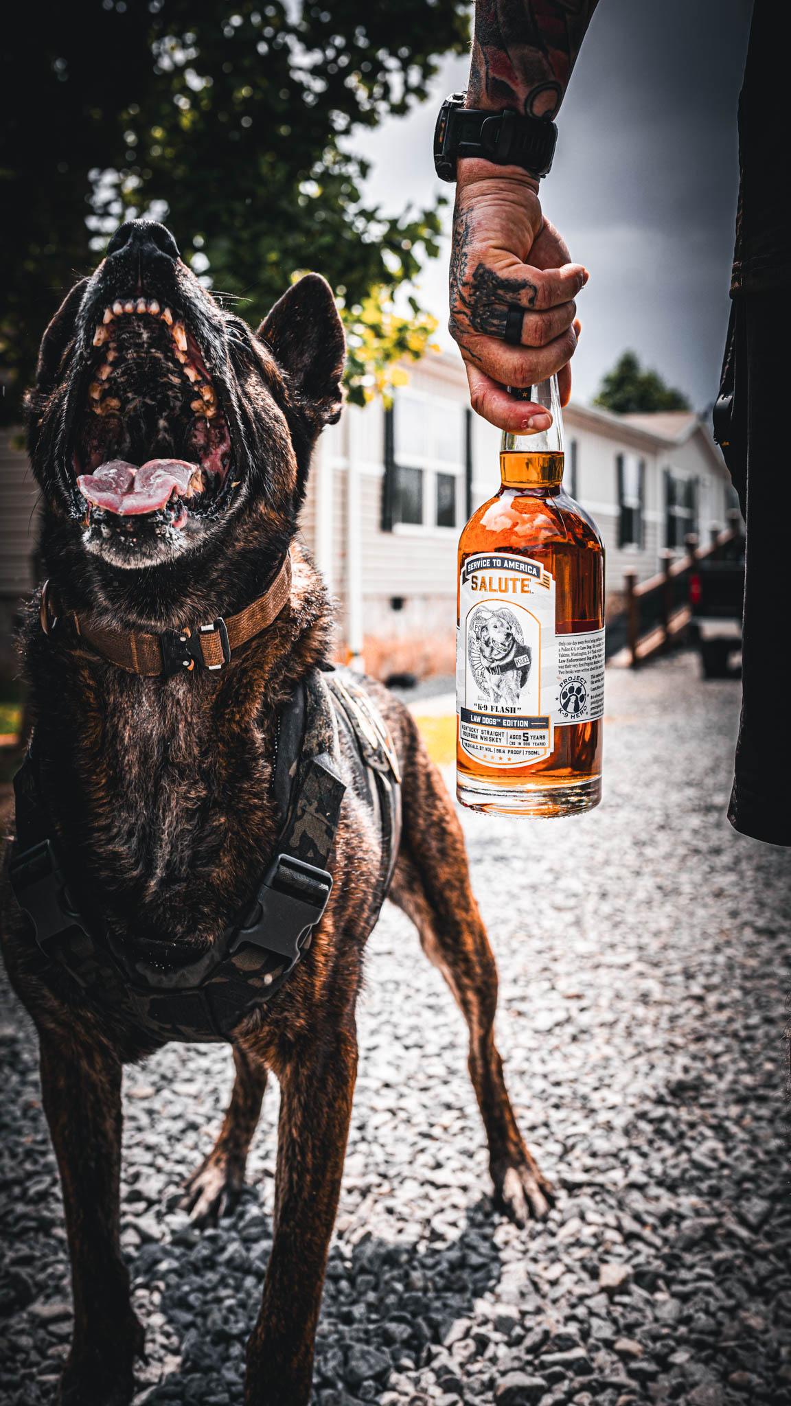 salute series photo with dog barking