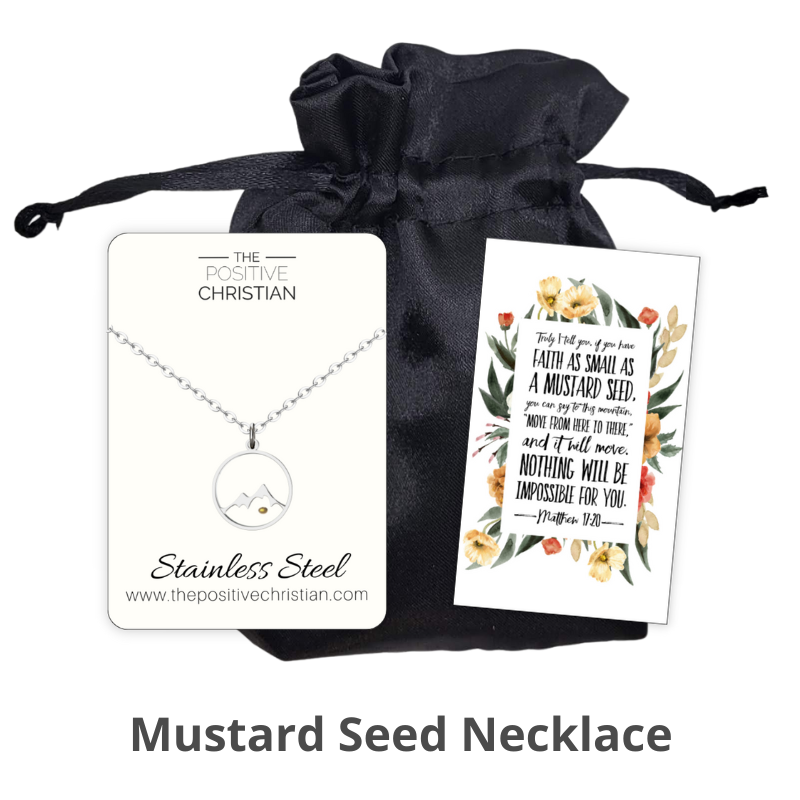 Bundle collection the positive christian