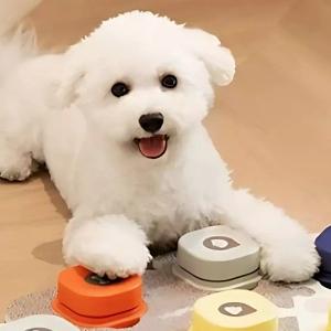 How to Teach Your Dog to ‘Talk’ Using Buttons