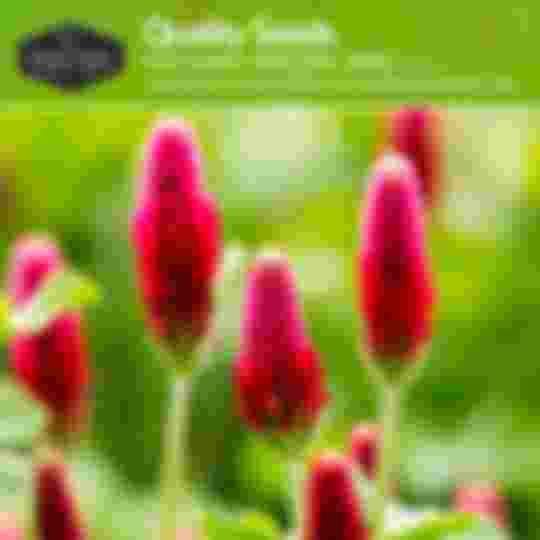Quality non-hybrid heirloom seeds
