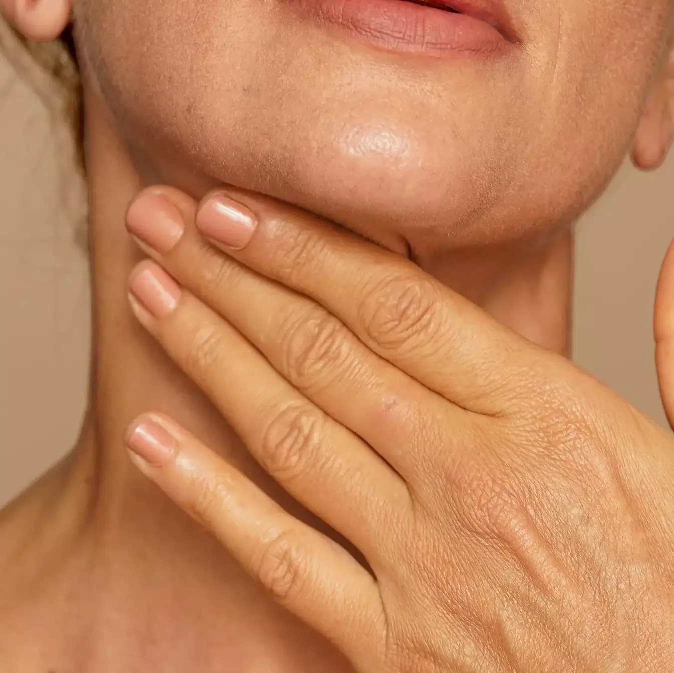 Representative image of cereal brans