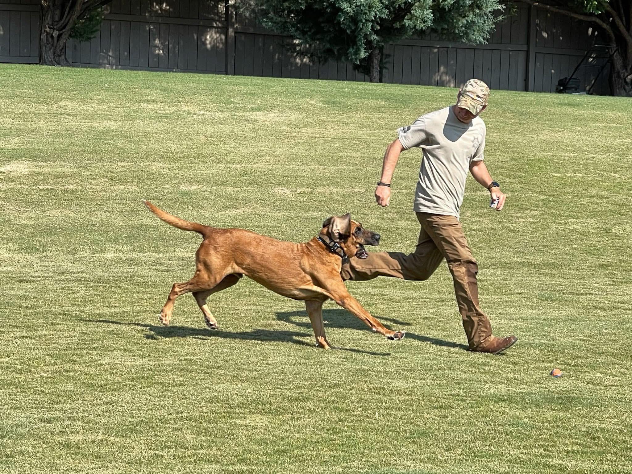 k9 sara and flag