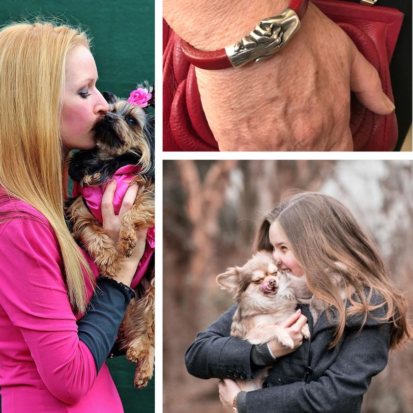 Hand & Paw Project — Hand and Paw Project™