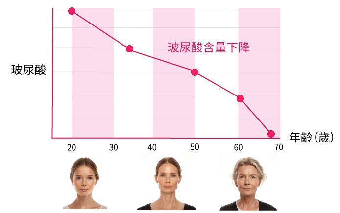 透明質酸多年來減少的資訊圖表