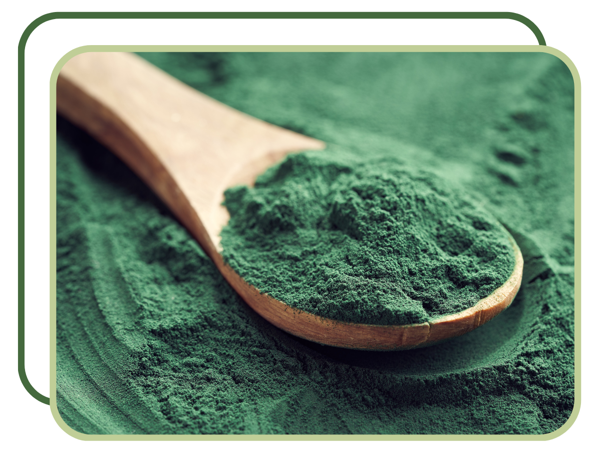 Spiruklamath Alga Spirulina + Alga klamath