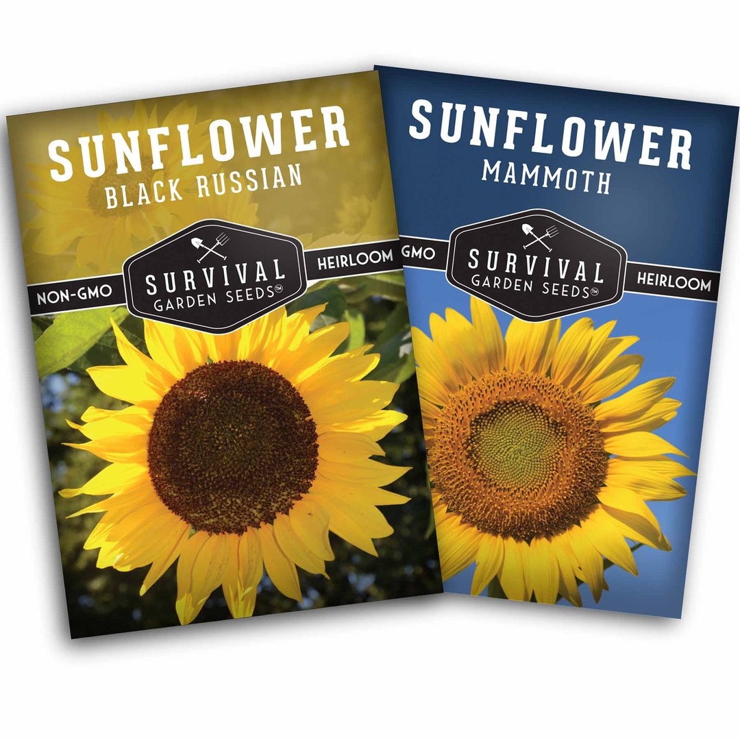 2 sunflower seed packets for planting