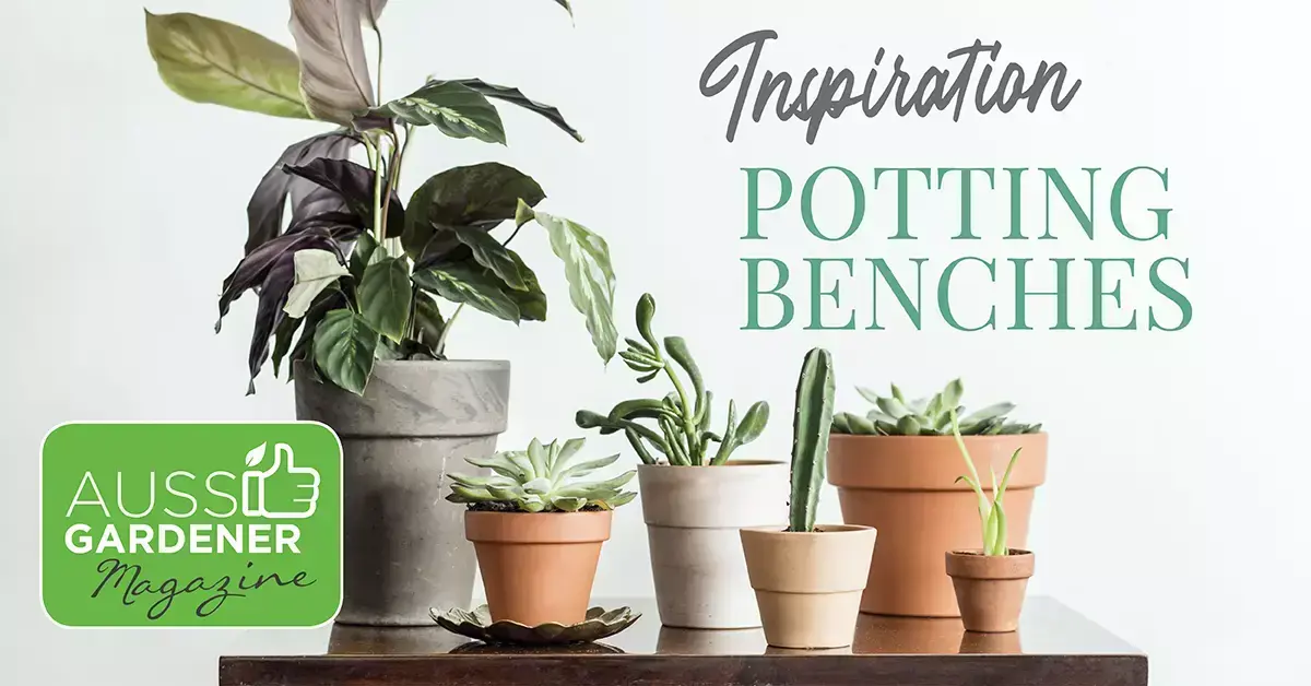 Potting benches inspiration with assorted potted plants arranged on a wooden potting bench in terracotta and ceramic pots.