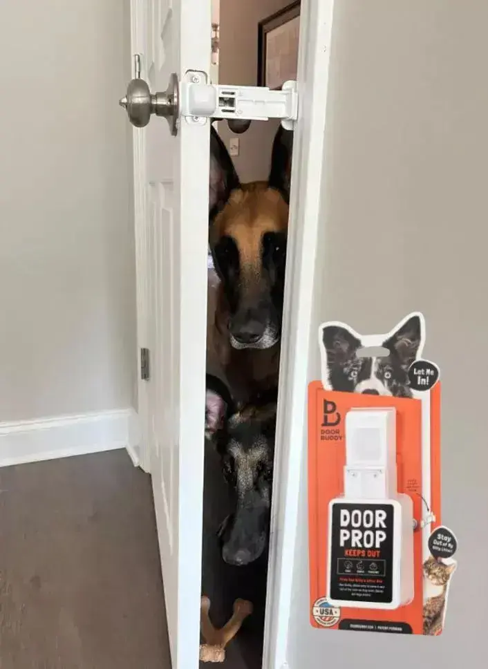 Two dogs curiously peeking under a closed door, with a door prop preventing their access to the room.
