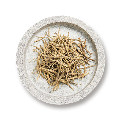 Malabar Nut Leaf (Vasaka, Justicia adhatoda) 