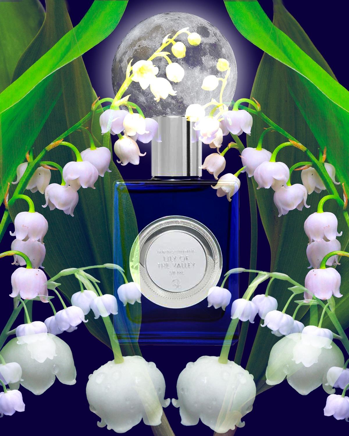 Lily of the Valley by QUARTANA