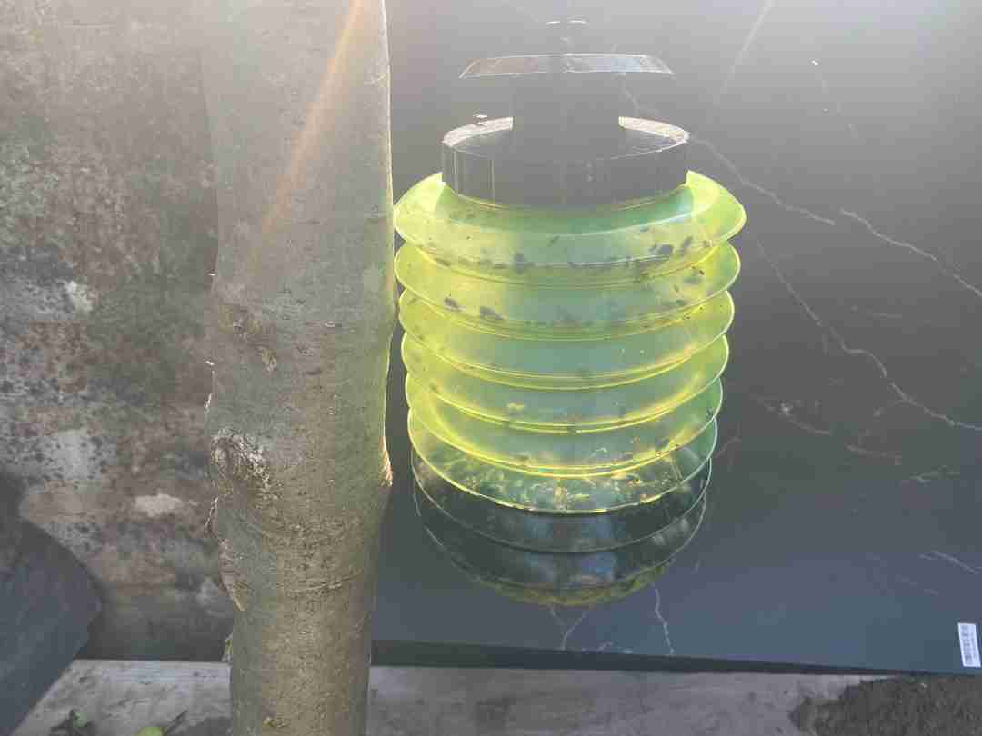 The Ranch Fly Trap The best solution for reducing flies in your area