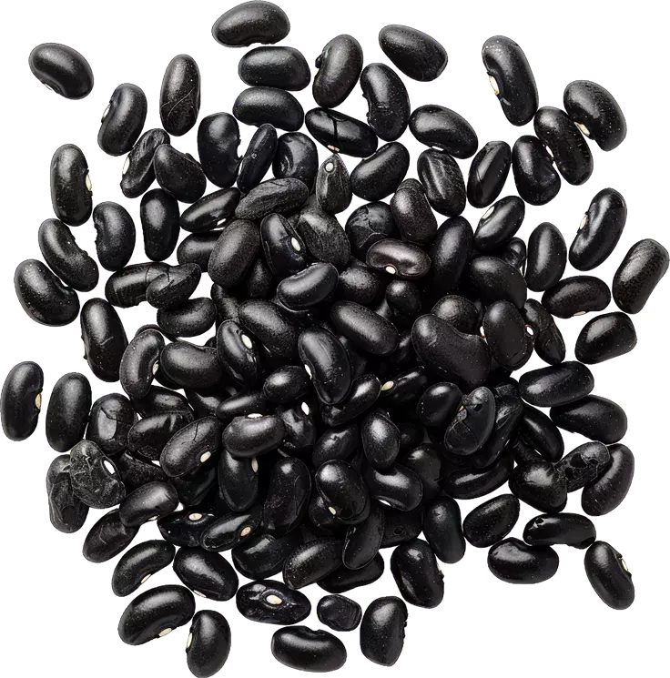Black Gram
