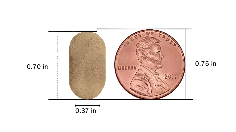 Size comparison of a tablet of Bacobliss with A US dollar coin