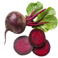 Beta Vulgaris (Beet) Root Extract