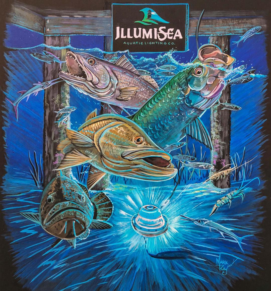 IllumiSea Ultra Bright 25w 3450 Lumen 12v Green, White, or Blue