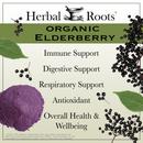 Elderberries and powder with text that says Organic Elderberry- Immune SUpport, Digestive Support, Respiratory Support, Antioxidant, Overall Health and Wellbeing