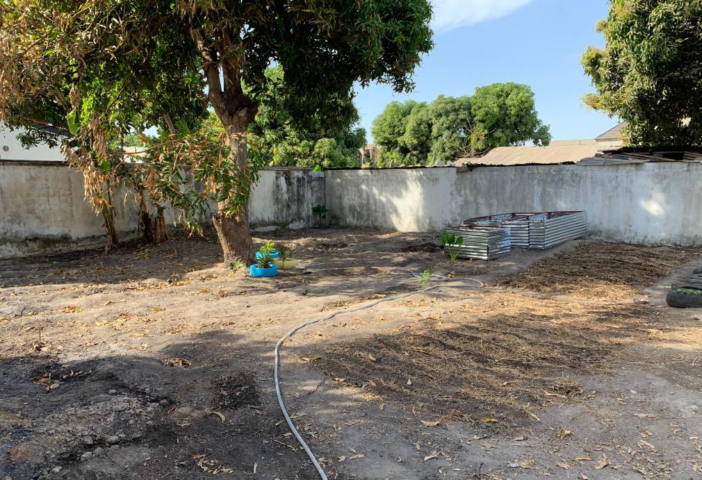 Week 3 saw our first seedlings come through