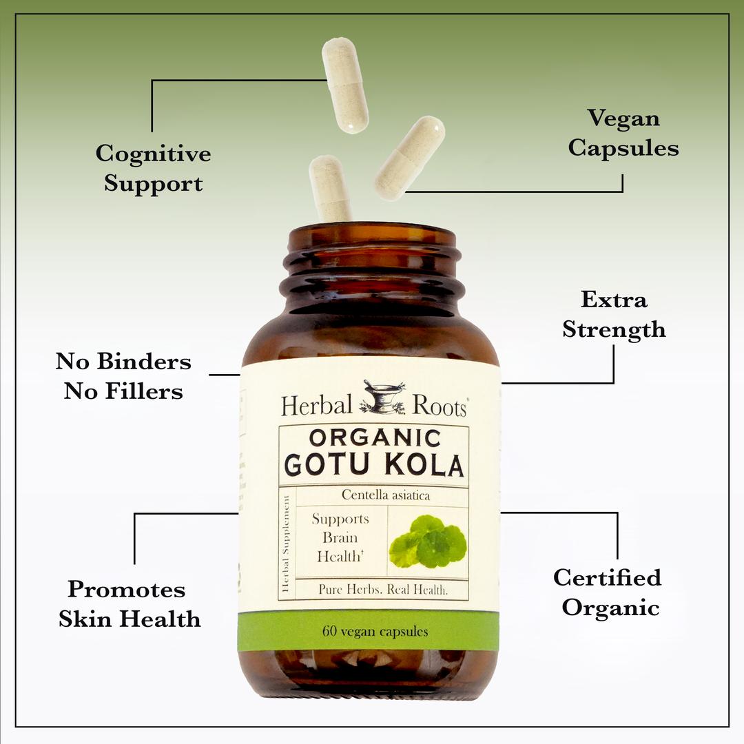 Bottle of Herbal Roots Organic Gotu Kola with arrows coming from bottle. Each arrow says: Cognitive Support, Vegan Capsules, No Binders No Fillers, Extra Strength, Promotes Skin Health, Certified Organic.