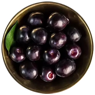 Black Plum