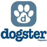 Door Buddy featured on Dogster