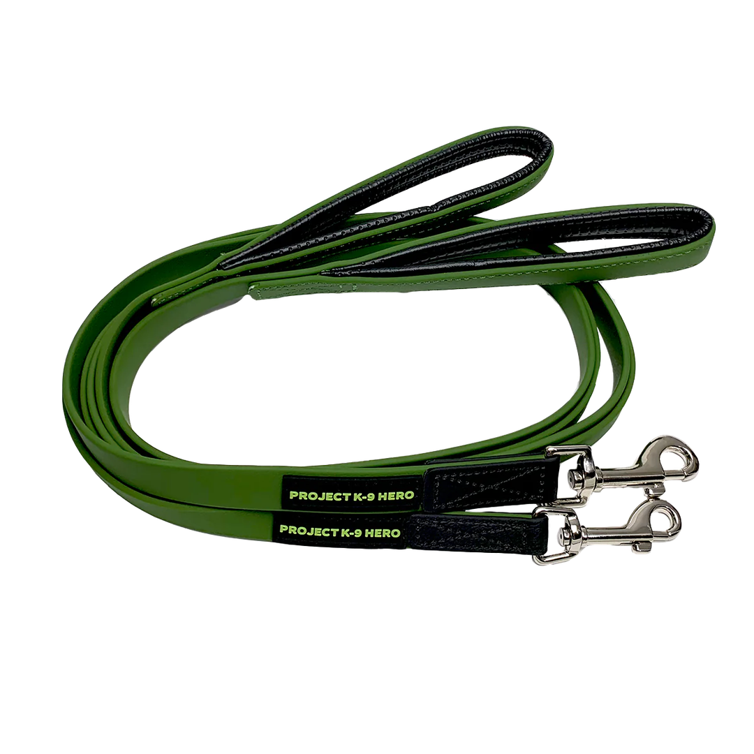 Small Dog Lead