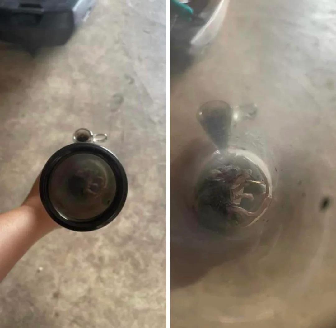 A bong containing a deceased mouse that had crawled inside, illustrating the extreme pest horror and biohazard risk of leaving uncleaned glass pipe residue in storage (The Rat Pipe). The image is a stark warning about the necessity of a regular bong maintenance routine before long-term storage.