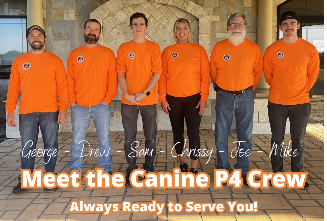 CanineP4 progesterone testing