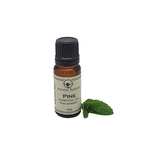Pine Essential Oil