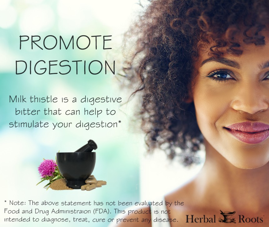 The right of the image is a close up of a woman's smiling face. There is text on the left of the image that says Promote Digestion. Milk thistle is a digestive bitter that can help to stimulate your digestion.