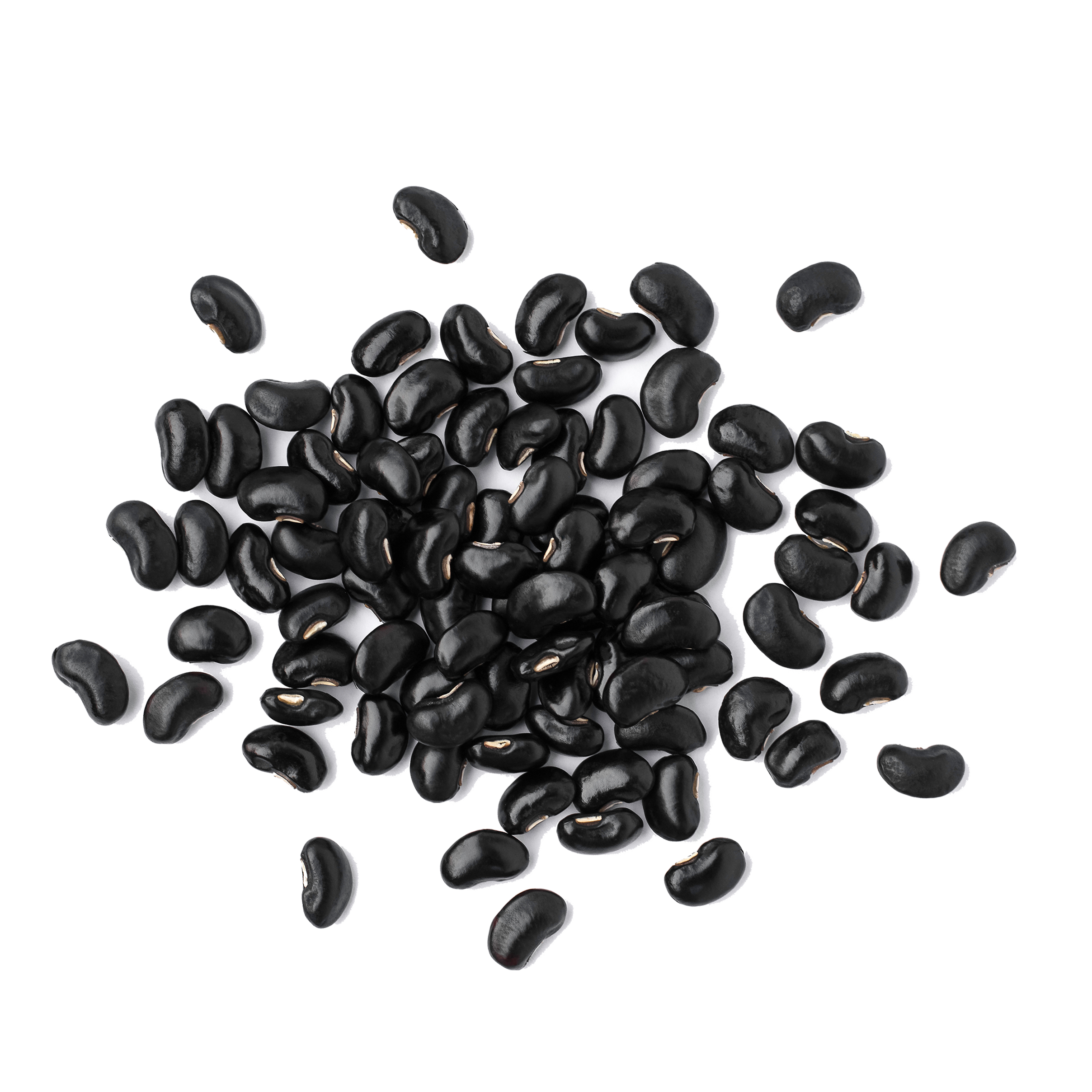 Black Gram (Black Gold of Skincare)