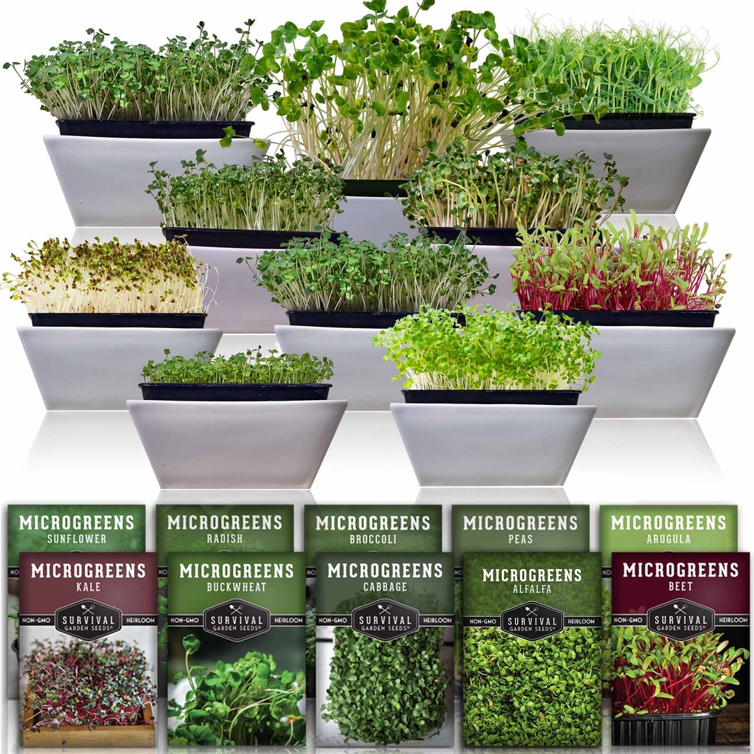10 Microgreens Seed Collection