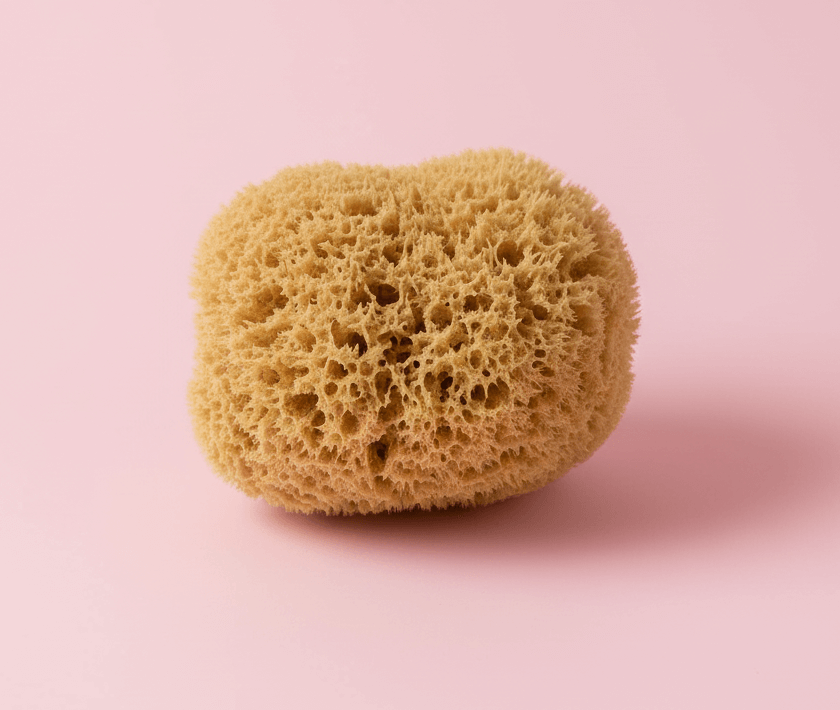 L'option naturelle et secrète : l’éponge menstruelle