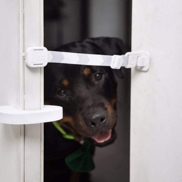 The Door Buddy - pet products for dog owners