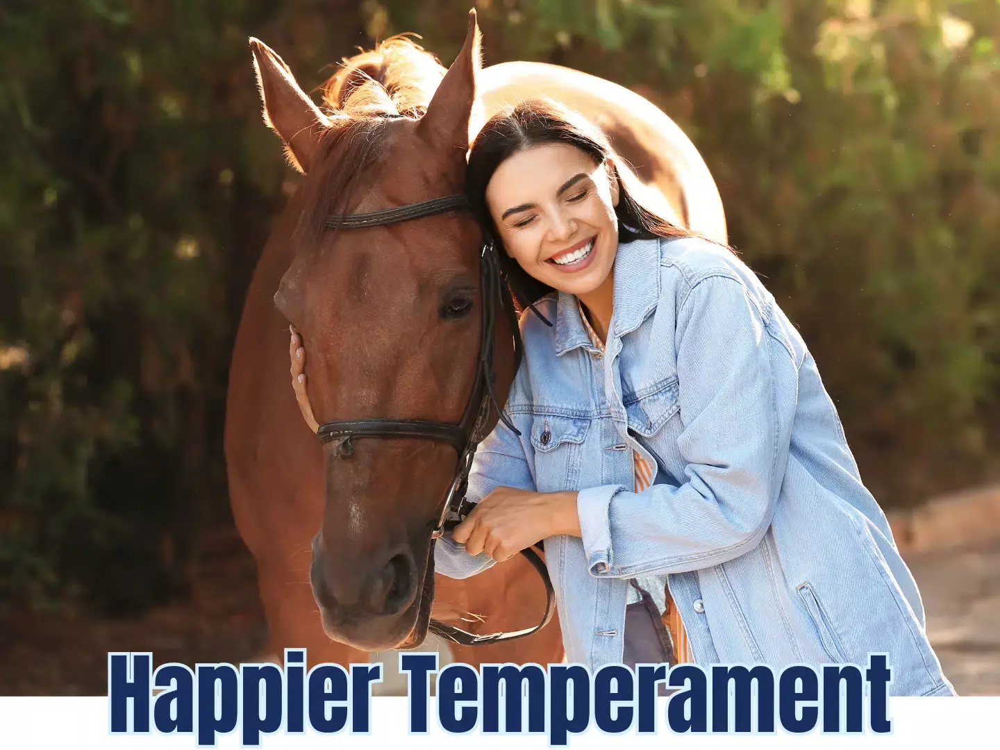 Selvita Equine Happier Temperament