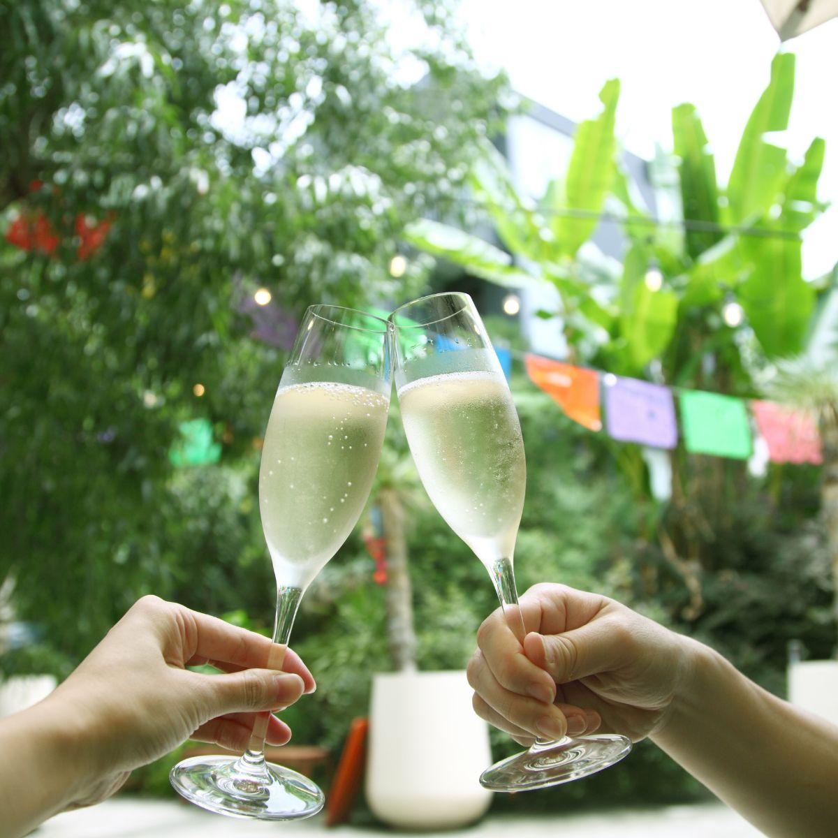 Garden Party Clinking Champagne